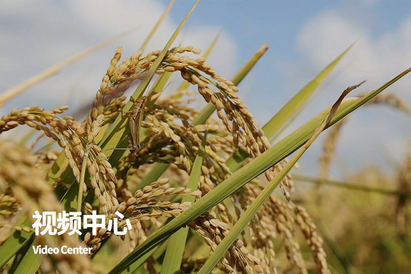 這(zhè)是(shì)描述信息